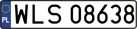WLS08638