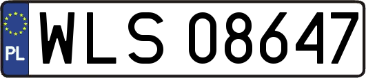 WLS08647
