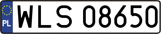 WLS08650