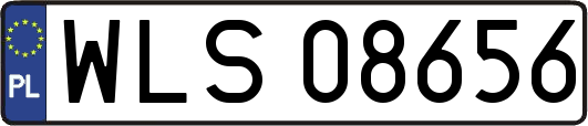 WLS08656