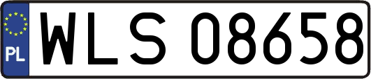 WLS08658