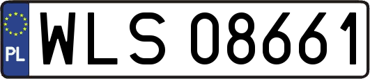 WLS08661