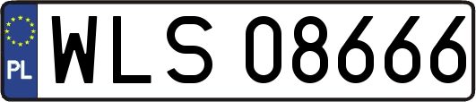 WLS08666