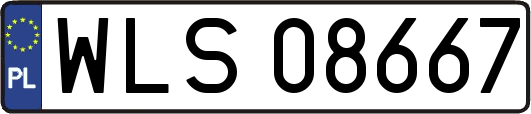 WLS08667