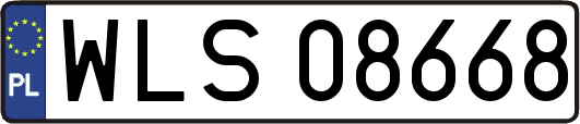 WLS08668