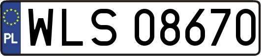 WLS08670