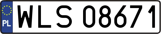 WLS08671