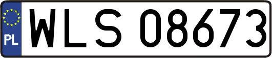 WLS08673