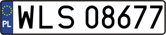 WLS08677