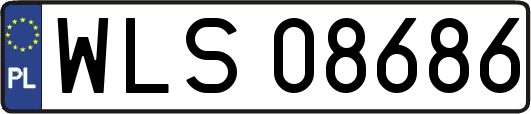 WLS08686