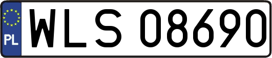 WLS08690