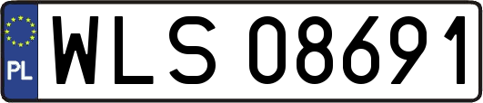 WLS08691