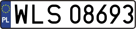 WLS08693