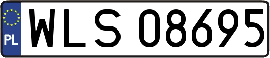 WLS08695