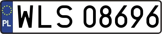 WLS08696