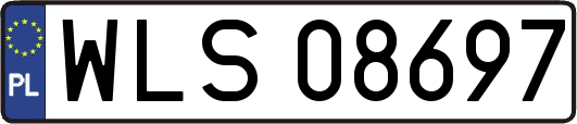 WLS08697