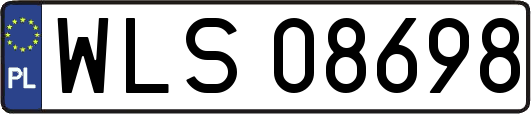 WLS08698