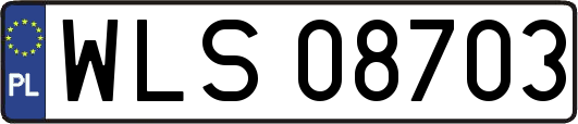 WLS08703