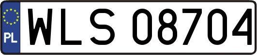 WLS08704