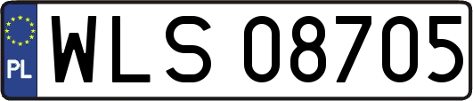 WLS08705