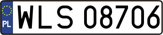 WLS08706