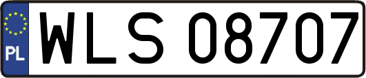 WLS08707
