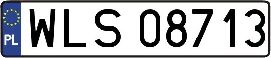 WLS08713