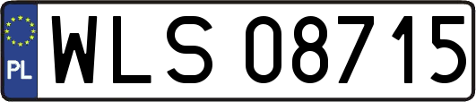 WLS08715