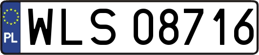 WLS08716