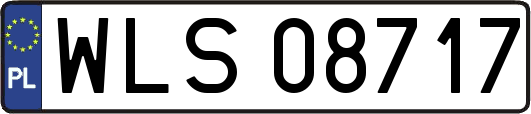 WLS08717