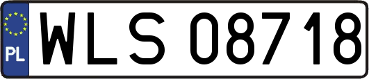 WLS08718