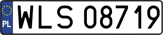 WLS08719