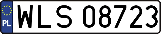 WLS08723
