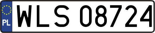 WLS08724