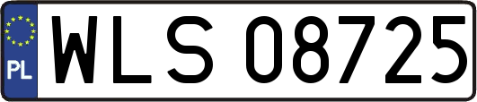 WLS08725