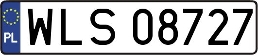 WLS08727