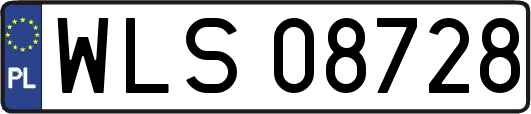 WLS08728