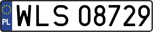 WLS08729