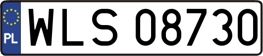 WLS08730