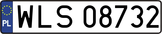 WLS08732
