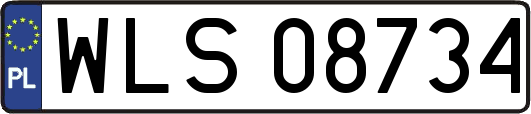 WLS08734