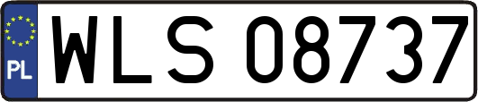 WLS08737