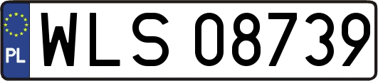WLS08739