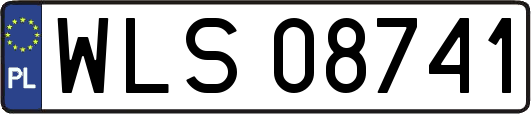 WLS08741