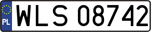 WLS08742