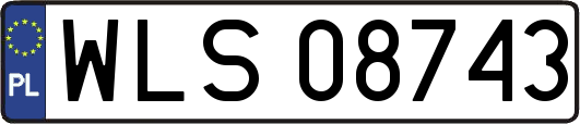 WLS08743