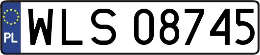 WLS08745