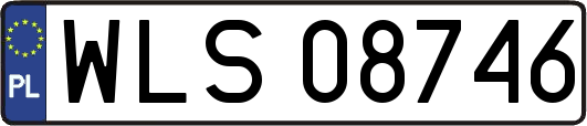 WLS08746