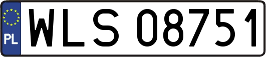 WLS08751