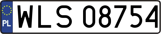 WLS08754